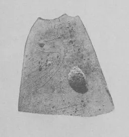 SITULA, FRAGMENT (EAST GREEK, OUTLINE)