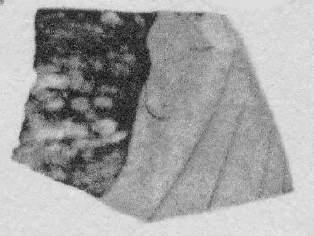 CUP, FRAGMENT (ATHENIAN, RED-FIGURE)
