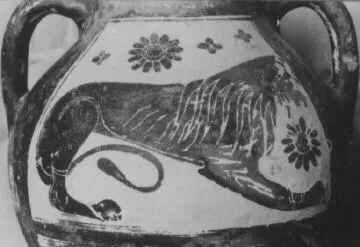 AMPHORA, BELLY (ATHENIAN, BLACK-FIGURE)