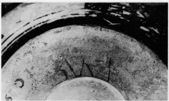AMPHORA, NECK (ATHENIAN, BLACK-FIGURE)