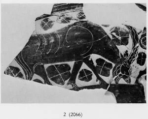 OINOCHOE (ETRUSCO-CORINTHIAN, BLACK-FIGURE)