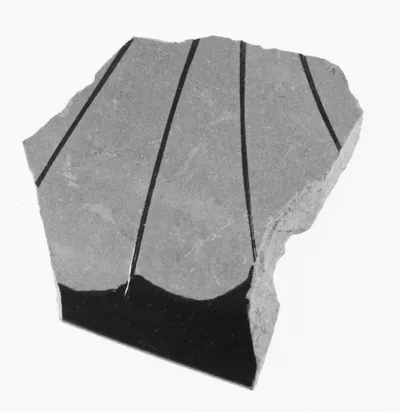 Attic Red-Figure Vase Fragment