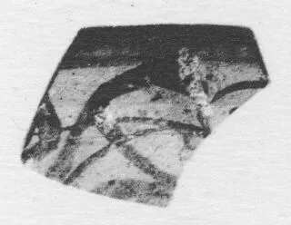 CUP, FRAGMENTS (ATHENIAN, BLACK-FIGURE)