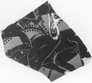 HYDRIA, FRAGMENT (ATHENIAN, BLACK-FIGURE)