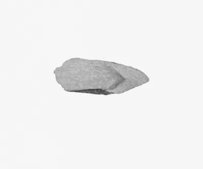 Attic Vase Fragment