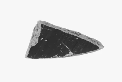 Attic Red-Figure Vase Fragment