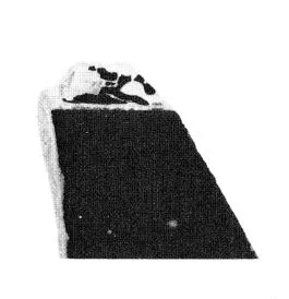 AMPHORA, NECK, FRAGMENTS (ATHENIAN, BLACK-FIGURE)