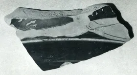 SKYPHOS, FRAGMENT (ATHENIAN, RED-FIGURE)