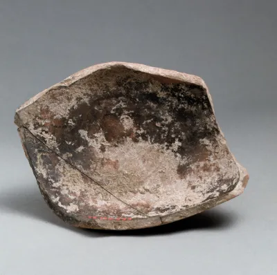 Vase fragment