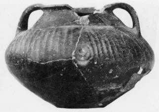 AMPHORA, BELLY (VILLA NOVA)
