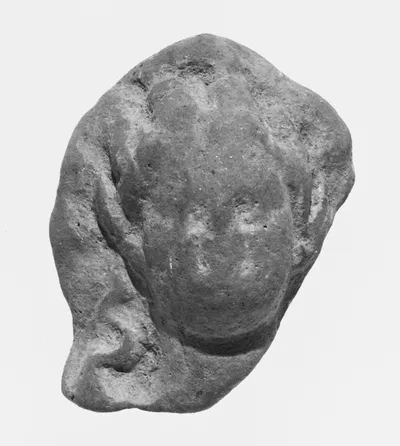 Female Head
