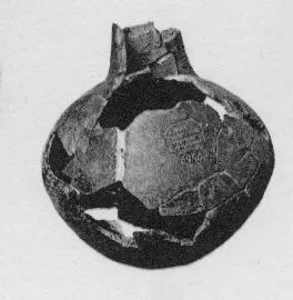 JUG (VILLA NOVA)