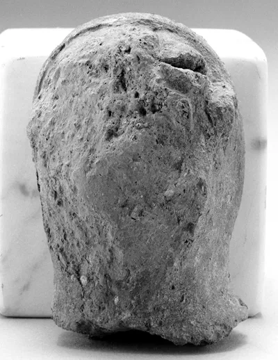 Human Head (?)
