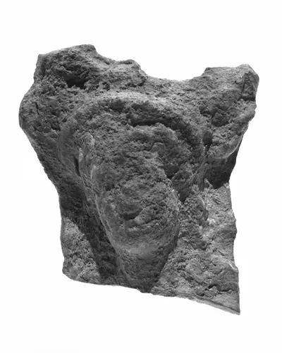 Female Head