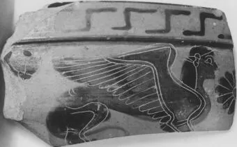 LEKANIS, FRAGMENT (ATHENIAN, BLACK-FIGURE)