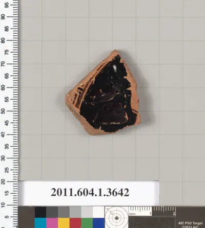 Terracotta fragment of a kylix (drinking cup)