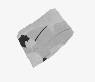 Attic Red-Figure Kalpis Fragment