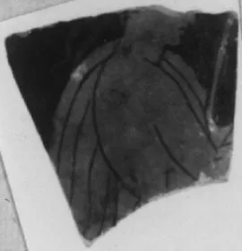 SKYPHOS, FRAGMENT (ATHENIAN, RED-FIGURE)
