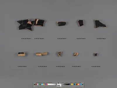 Attic Black-Figure Column Krater Fragment (part of 81.AE.207.408, comprised of 2 joined fragments)