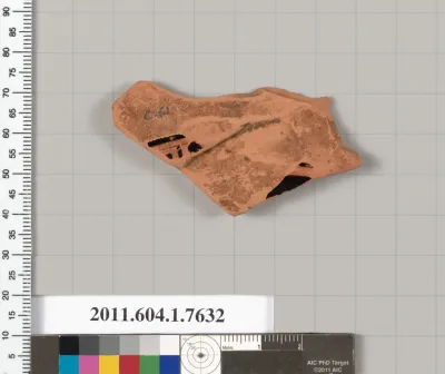 Terracotta fragment of a kylix (drinking cup)