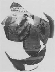 AMPHORA, BELLY, TYPE A, FRAGMENTS (ATHENIAN, BLACK-FIGURE)