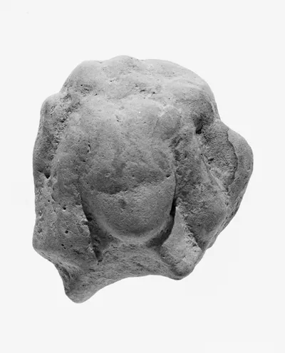 Female Head