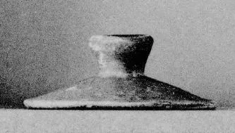 LID (ITALIOTE)