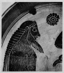 CUP (LACONIAN, BLACK-FIGURE)