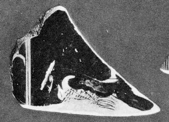 KRATER, FRAGMENT (ATHENIAN, RED-FIGURE)