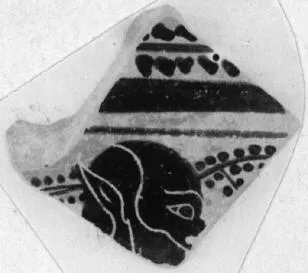 SKYPHOS, FRAGMENT (ATHENIAN, BLACK-FIGURE)