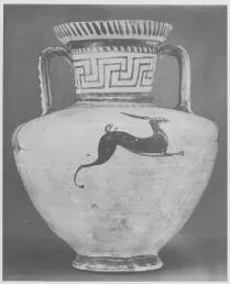 AMPHORA, NECK (EAST GREEK, FIKELLURA)
