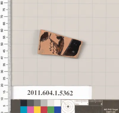 Terracotta fragment of a kylix (drinking cup)