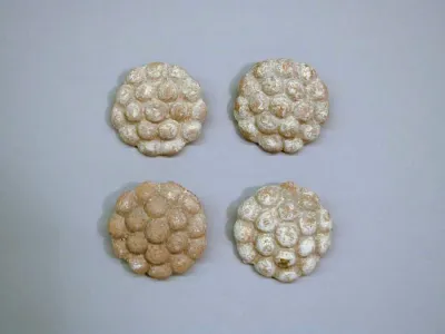Four terracotta disks