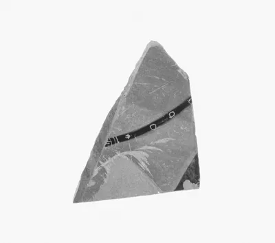 Attic Black-Figure Vase Fragment