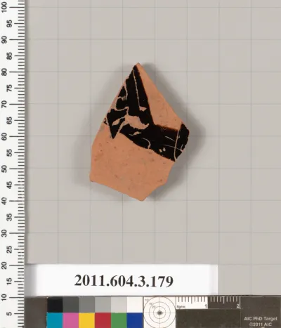 Terracotta fragment of an amphora (jar)