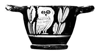 SKYPHOS (ATHENIAN, RED-FIGURE)