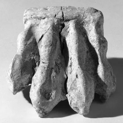 Canosan Statuette Fragment (Lion's Paw)