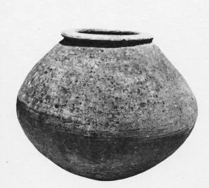 DOLIUM (SOUTH ITALIAN)
