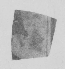 AMPHORA, BELLY, FRAGMENT (ATHENIAN, BLACK-FIGURE)