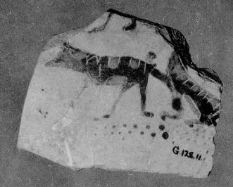 FRAGMENT (ATHENIAN, BLACK-FIGURE)