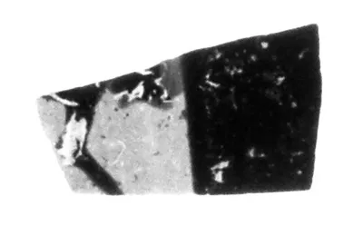 Attic Black-Figure Band Cup Fragment