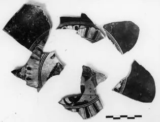CUP, SIANA, FRAGMENTS (ATHENIAN, BLACK-FIGURE)