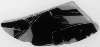 SKYPHOS, FRAGMENT (ATHENIAN, BLACK-FIGURE)