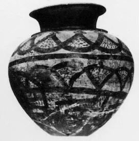 OLLA (CAPENA)