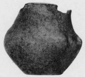 JUG (VILLA NOVA)