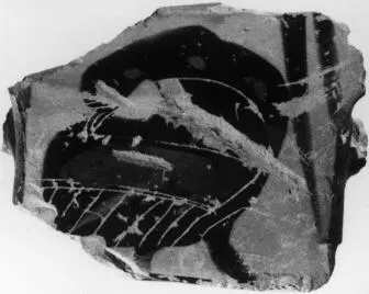 KRATER, COLUMN, FRAGMENT (ATHENIAN, BLACK-FIGURE)