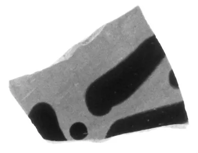 Attic Black-Figure Eye Cup Fragment