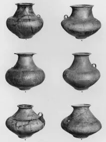 VARIOUS (DALJ)