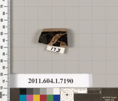 Terracotta fragment of a kylix (drinking cup)