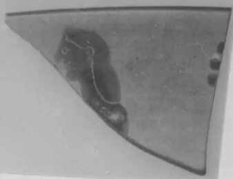 CUP, SIANA, FRAGMENT (ATHENIAN, BLACK-FIGURE)